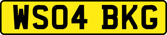 WS04BKG