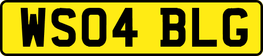 WS04BLG