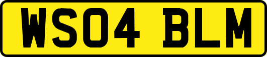 WS04BLM