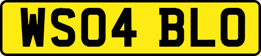 WS04BLO