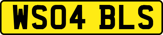 WS04BLS