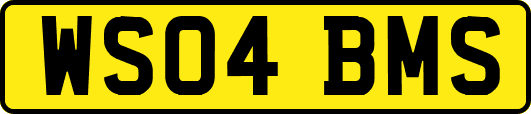 WS04BMS