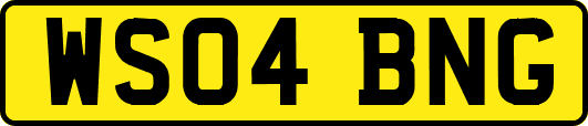 WS04BNG