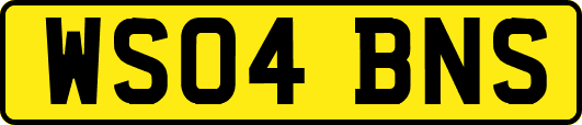 WS04BNS