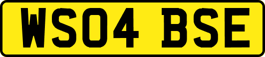 WS04BSE