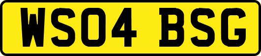 WS04BSG