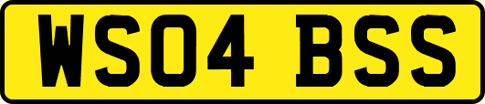 WS04BSS
