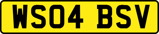 WS04BSV