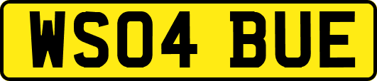 WS04BUE