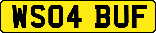 WS04BUF