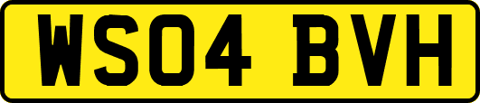 WS04BVH