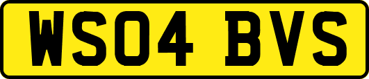 WS04BVS