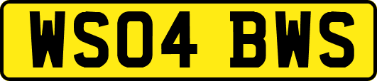 WS04BWS