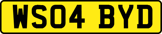 WS04BYD