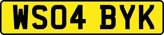 WS04BYK