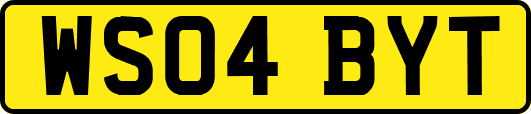 WS04BYT