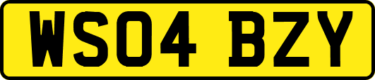 WS04BZY