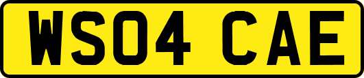 WS04CAE