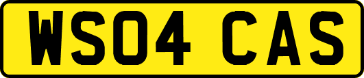 WS04CAS