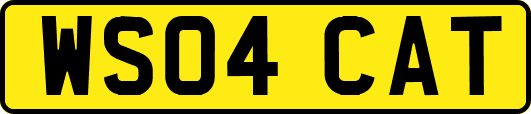WS04CAT