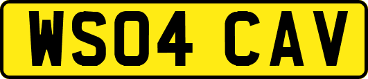 WS04CAV