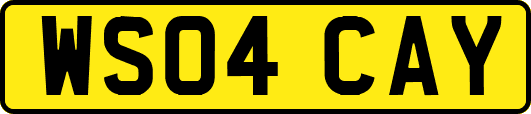 WS04CAY