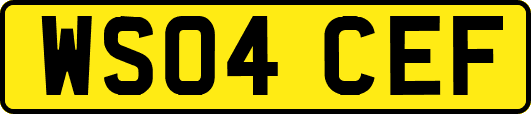 WS04CEF