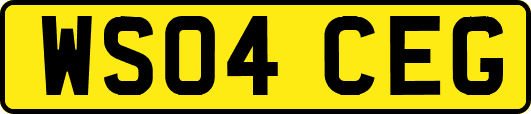 WS04CEG