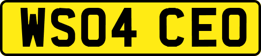 WS04CEO