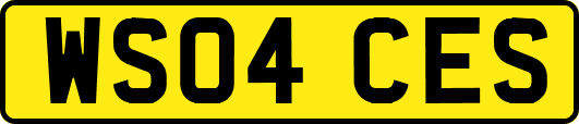 WS04CES