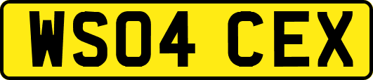 WS04CEX