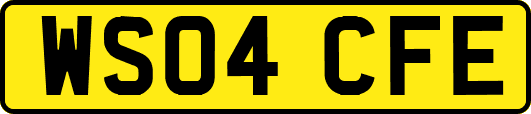 WS04CFE