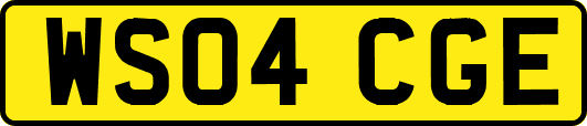 WS04CGE
