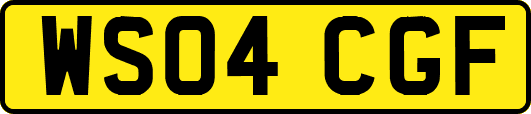 WS04CGF