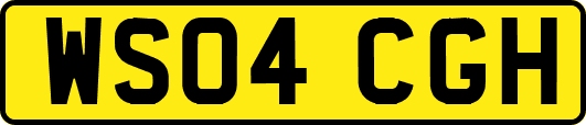 WS04CGH