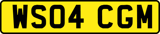 WS04CGM