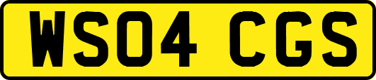 WS04CGS