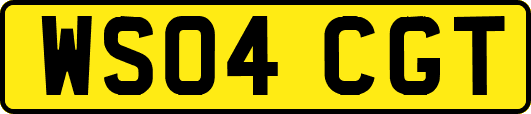 WS04CGT