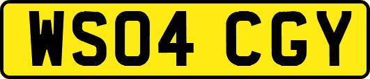 WS04CGY