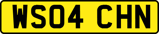 WS04CHN
