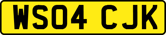 WS04CJK