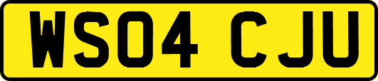 WS04CJU
