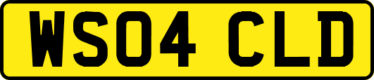 WS04CLD