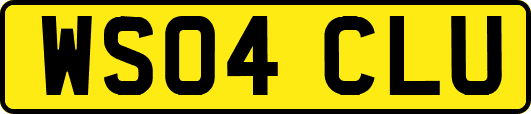 WS04CLU