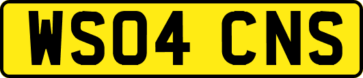 WS04CNS
