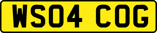 WS04COG