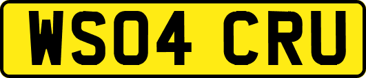 WS04CRU