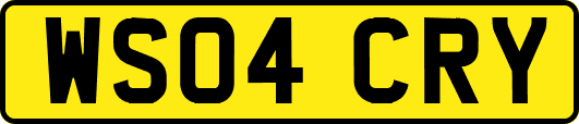 WS04CRY