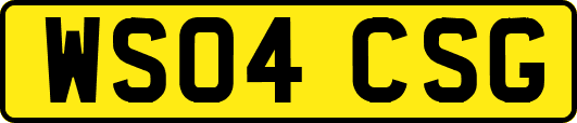 WS04CSG