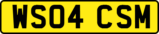 WS04CSM